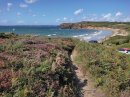 GR34 : sentier étroit dans la lande